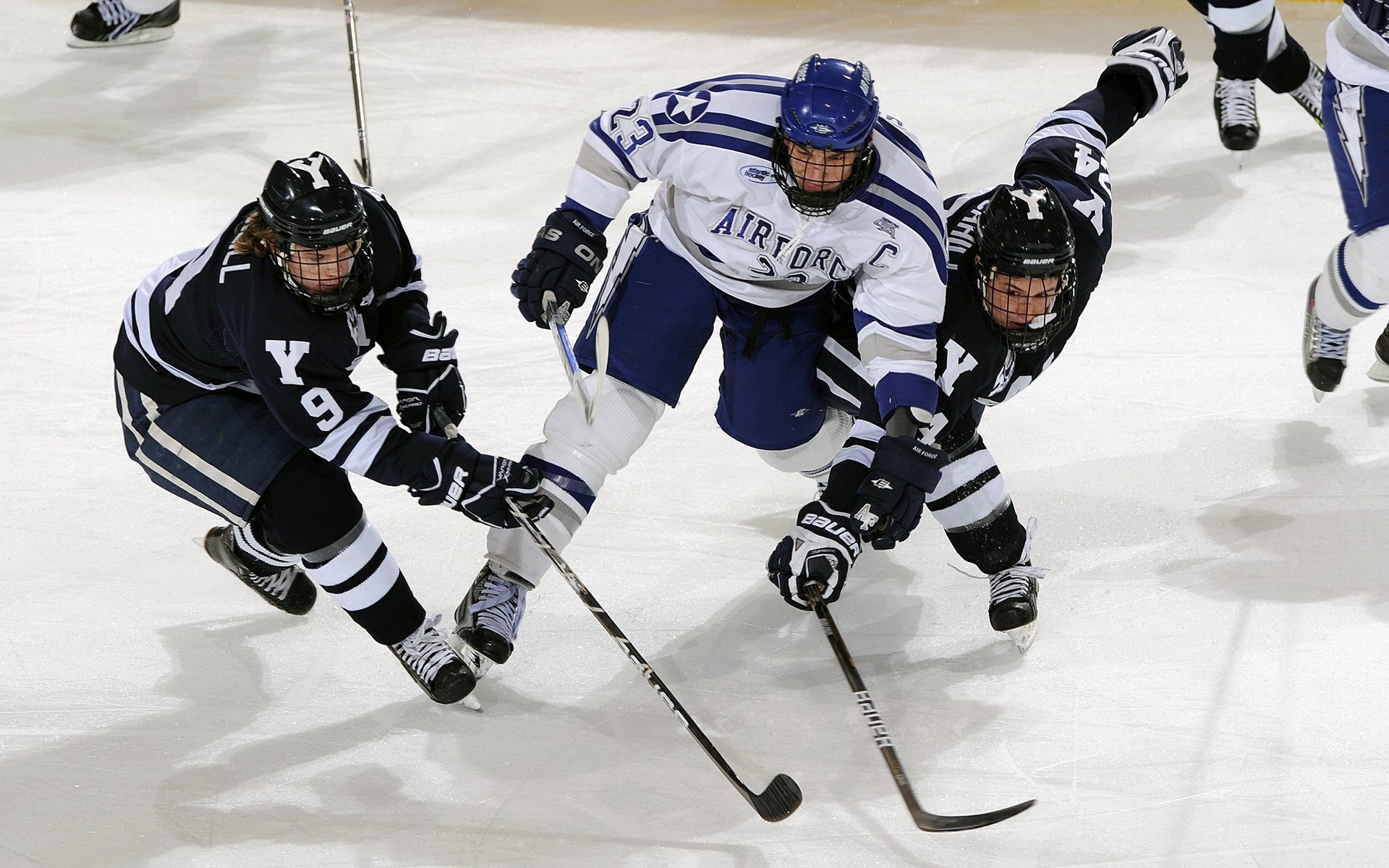 “菁英出战”——新手逐渐崭露头角的动人故事